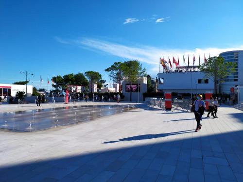 Venezia 77, aspettando l'apertura ufficiale