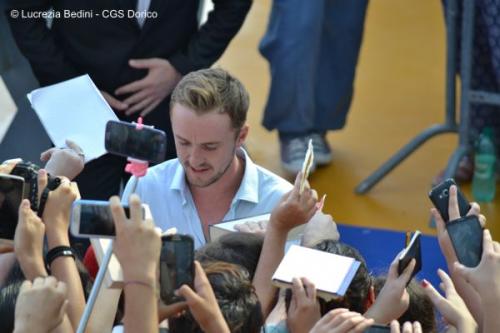 GFF15 TomFelton