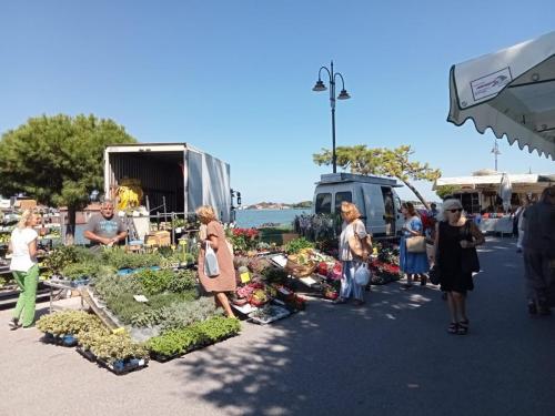 Cinema e ....mercato dietro il Palabiennale